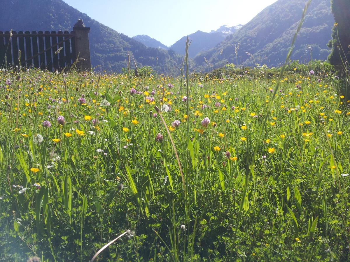 Le Clot De La Hount Bed & Breakfast Cauterets Dış mekan fotoğraf